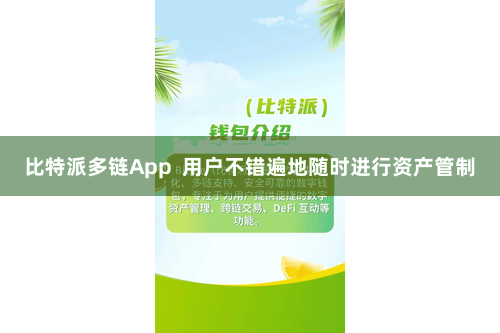 比特派多链App 用户不错遍地随时进行资产管制