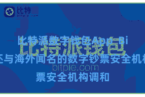 比特派数字钱包App  Bitpie还与海外闻名的数字钞票安全机构调和