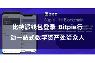 比特派钱包登录  Bitpie行动一站式数字资产处治众人